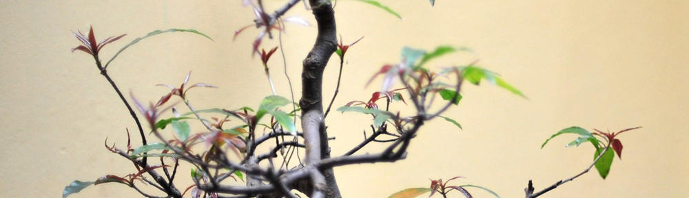 Museum of Information Technology